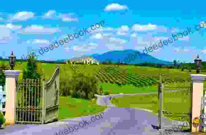 A Panoramic View Of A Vineyard In The Shenandoah Valley Beyond Jefferson S Vines: The Evolution Of Quality Wine In Virginia (3rd Ed )