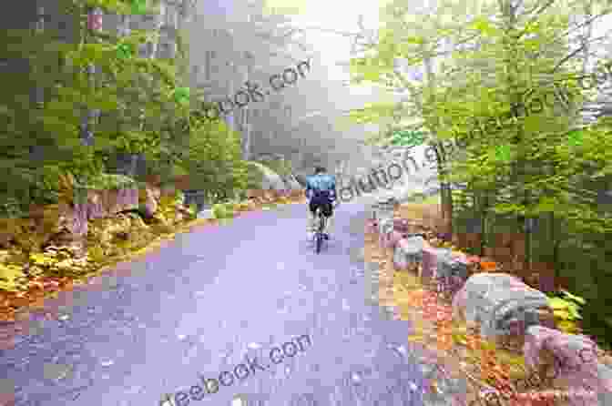 Biker Riding Along The Acadia Bike Path With Stunning Mountain Views Biking Mount Desert Island: Pocket Guide