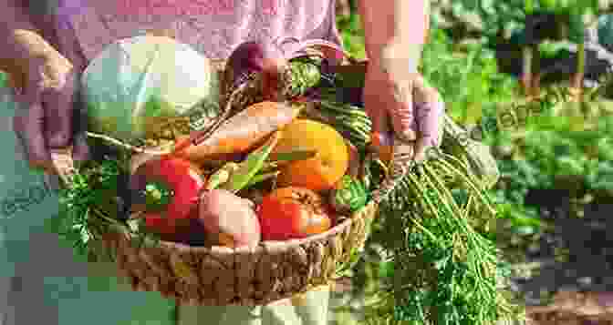 Fresh Produce Being Harvested And Packed, Ready To Embark On Its Journey To The Consumer. Combine Harvester (21st Century Basic Skills Library: Welcome To The Farm)