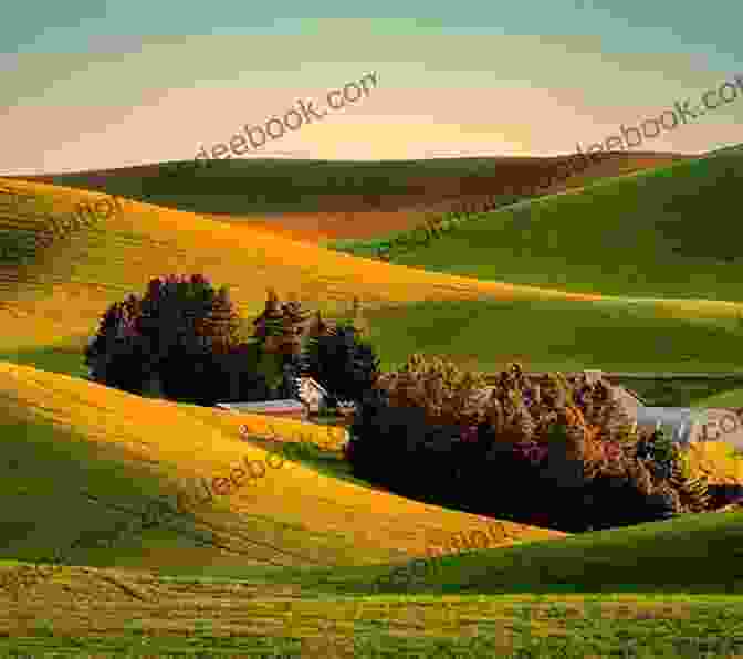 Panoramic View Of A Serene Farm With Rolling Hills, Lush Fields, And Grazing Livestock. Combine Harvester (21st Century Basic Skills Library: Welcome To The Farm)