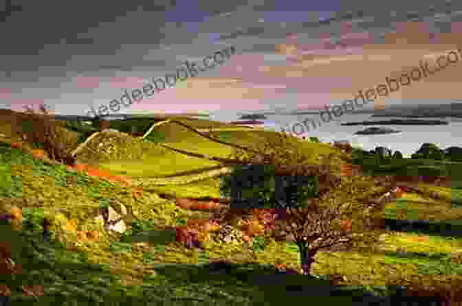 Panoramic View Of The Northern Ireland Countryside In Autumn, Showcasing Its Vibrant Foliage And Rolling Hills Tours In Ulster Carol Drinkwater