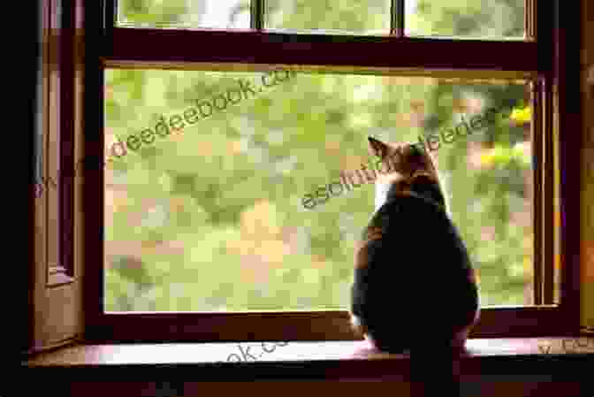 Rupert The Cat Sitting On A Windowsill, Looking Out At The Town Of Willow Creek If The Cat Fits Martin Smith