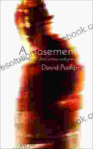 A Basement: A Collection Of Short Stories And Poems