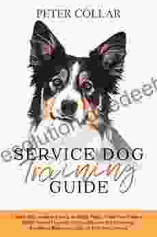 Service Dog Training Guide: Made Easy Guide To Raising An Happy Puppy Make Your Puppy A Perfect Service Dog With Positive Behavior And Psychology Revolution Beginners Guide For First Time Owners