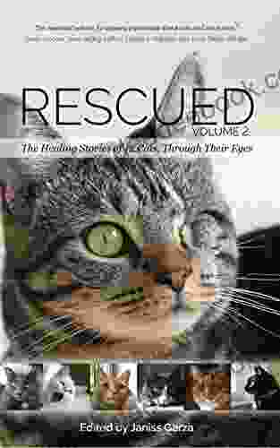 Rescued Volume 2: The Healing Stories of 12 Cats Through Their Eyes