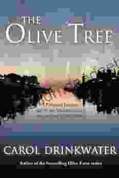 The Olive Tree (The Olive 2)