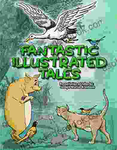 Fantastic Illustrated Tales: Recopilation By: J M Kronheim